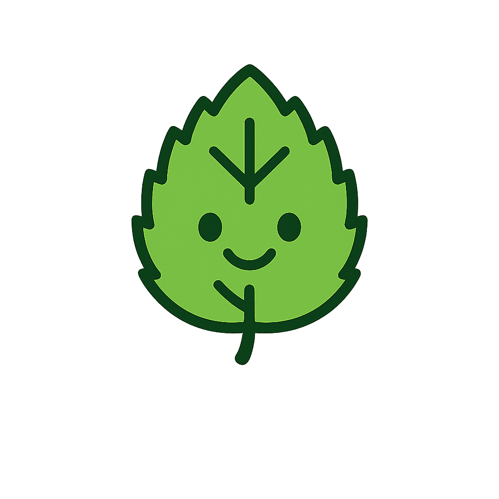 Brooklyn car insurance comparison and review